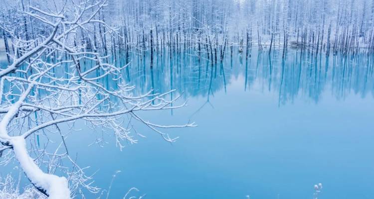 Eisblauer Teich, der schneebedeckte Bäume in einer ruhigen Winterlandschaft widerspiegelt.