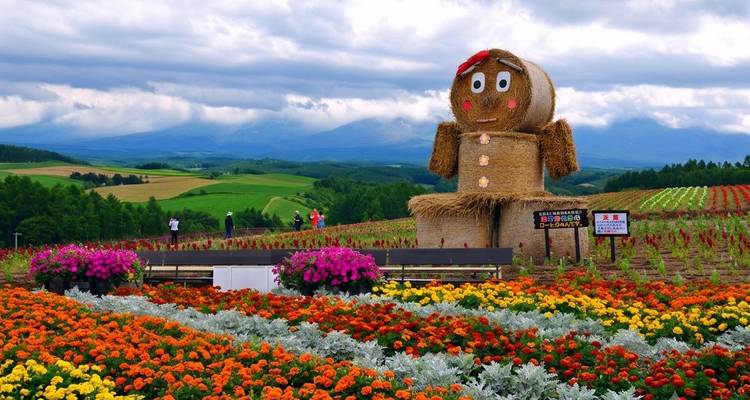 Eine verspielte Strohballen-Lebkuchen-Figur steht inmitten lebendiger Blumenreihen unter düsterem Himmel.