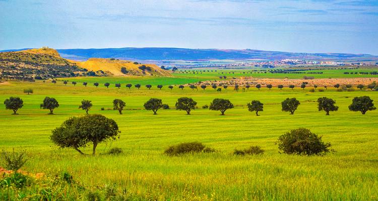Llanura verde y amplia salpicada de árboles pequeños y colinas ondulantes bajo un cielo azul pálido.