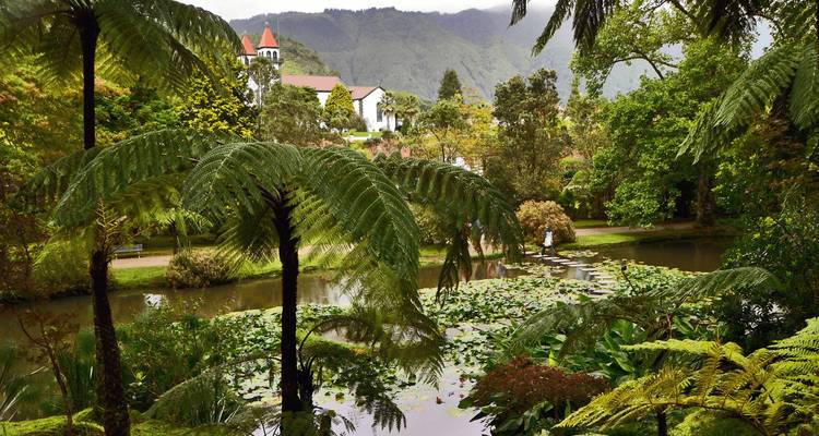 Lush botanical garden with tall tree ferns, lily pond and distant church towers set against misty mountains.