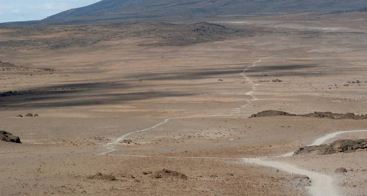 Uitgestrekt kaal alpien woestijnlandschap met een kronkelend stoffig pad dat zich uitstrekt over Kilimanjairo's hooggelegen plateau.