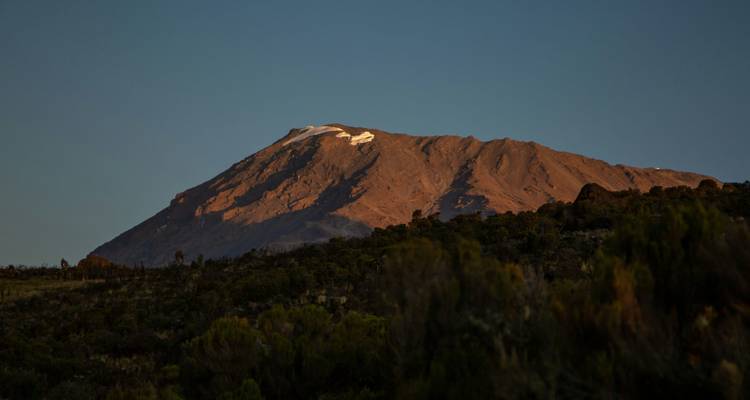 Mount Kilimanjaro baadt in warm goudgeel licht en rijst boven de beboste lagere hellingen uit tijdens het vallen van de avond.