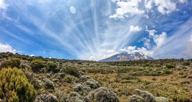 Uitgestrekte heide met levendige zonnestralen die boven de Mount Kilimanjaro uitstromen onder een blauwe lucht.