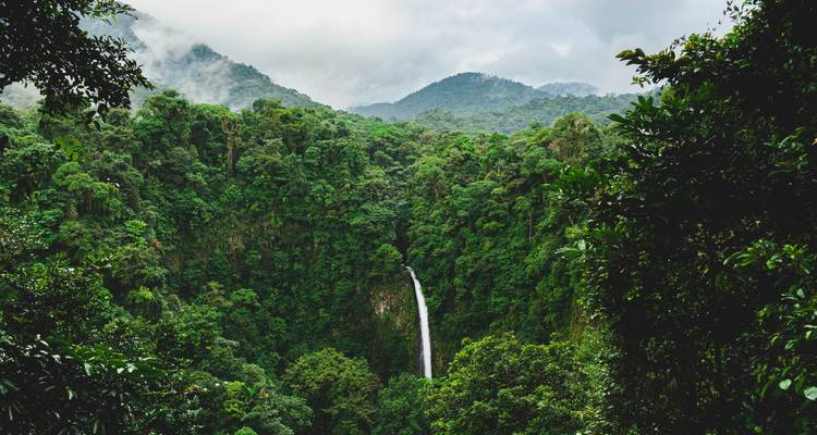 Ein hohes weißes Wasserfall stürzt durch einen dichten smaragdgrünen Regenwald, der von nebelbedeckten Bergen eingefasst wird.