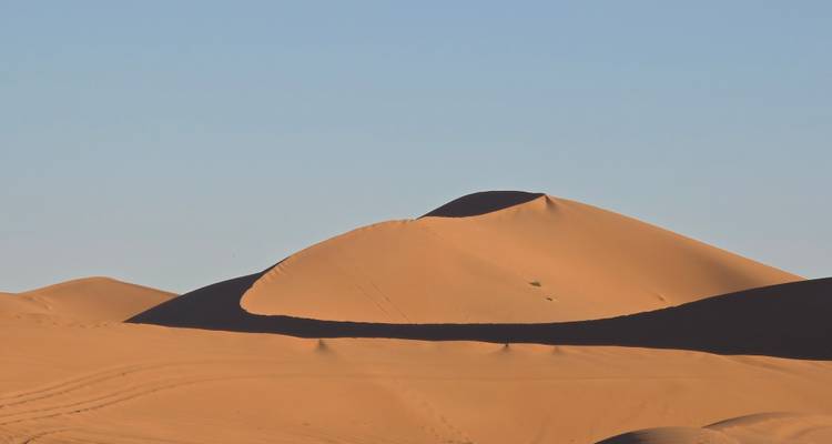 Las dunas de arena dorada se elevan en curvas suaves bajo un cielo azul despejado en el desierto del Sahara.