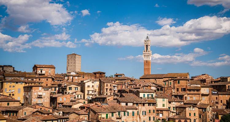 Tejados rústicos toscanos con torres medievales y el esbelto campanario de Siena recortándose contra un cielo despejado.