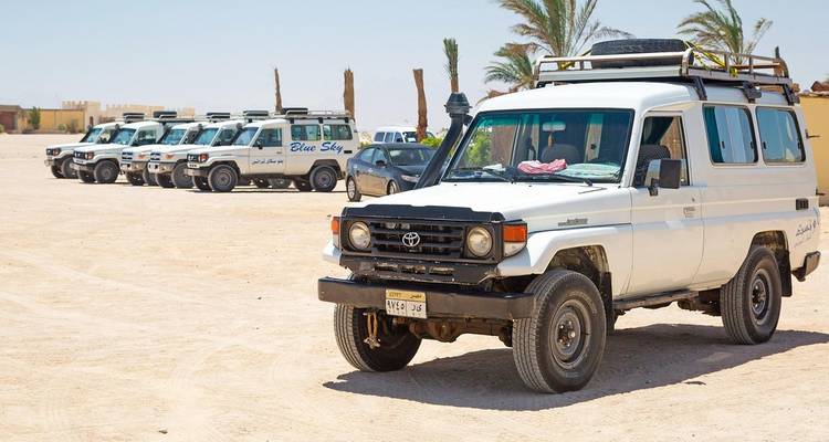 Rangée de robustes Toyota Land Cruisers garés sur un terrain sablonneux sous des palmiers en attente d'excursions désertiques.