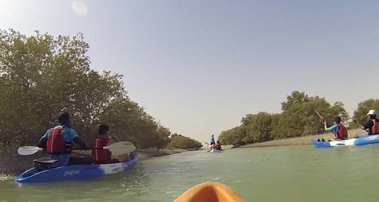 Petit groupe naviguant en kayak bleu dans une eau calme et verte bordée de palétuviers sous un ciel dégagé.