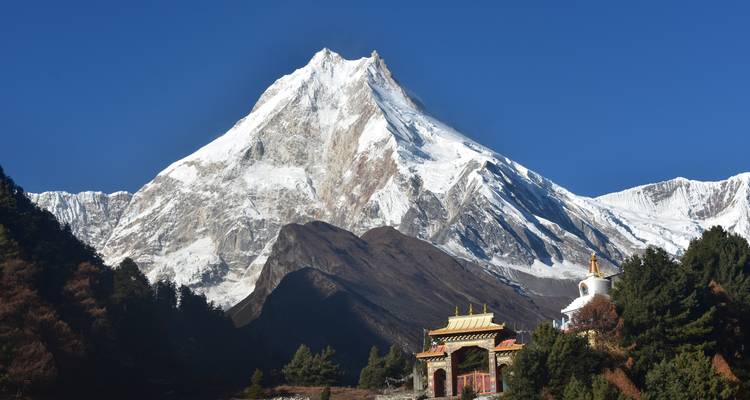 El nevado Monte Manaslu se alza majestuoso sobre la puerta de un monasterio y un bosque de pinos bajo un cielo azul profundo.