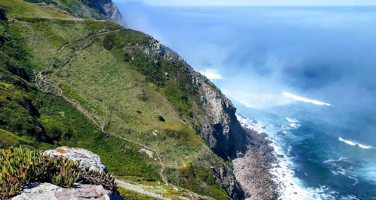 Dramatische, in Nebel gehüllte Atlantikklippen mit tosenden Wellen weit unter dem grünen Kopflandpfad.