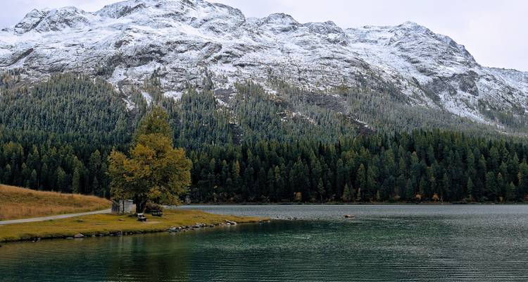 Smaragdgrüner Wald trifft auf einen Bergsee mit frühjährlichem Schnee, der die zerklüfteten Gipfel dahinter bedeckt.
