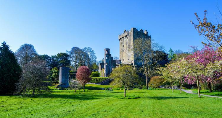 El Castillo Medieval de Blarney se alza sobre parques verdes y exuberantes con árboles en flor bajo cielos azules y despejados.