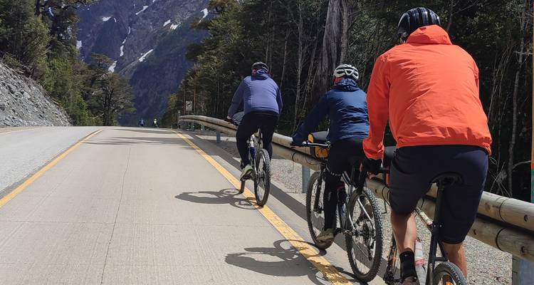 Three mountain bikers ride uphill along a guard-railed road beneath tall trees and snowy peaks
