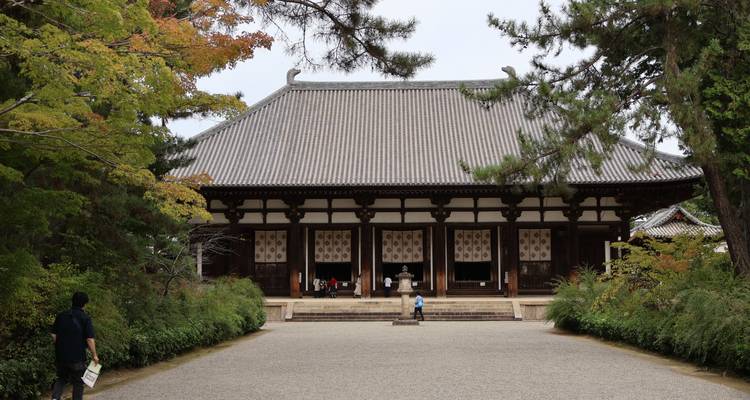 Front view of wooden Buddhist temple with single visitor standing in expansive courtyard