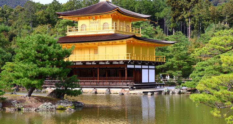 Bright golden Kinkaku-ji pavilion with surrounding pond and green forest backdrop