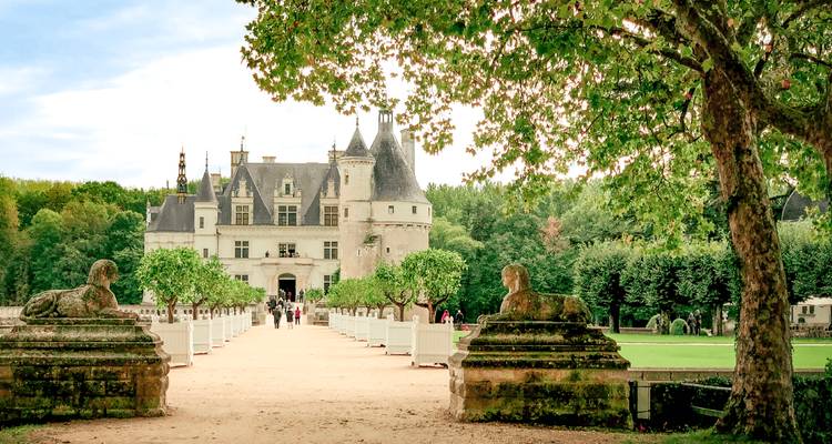 Grand walkway lined with statues leading to the elegant Château de Chenonceau framed by trees.