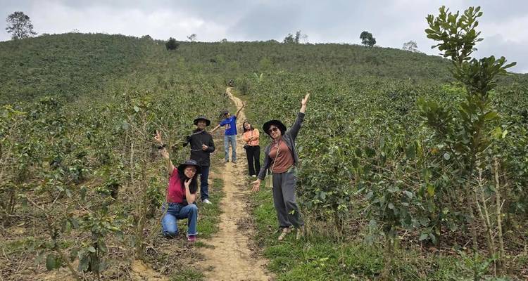 Small group cheerfully posing along a narrow trail in a coffee shrub field.