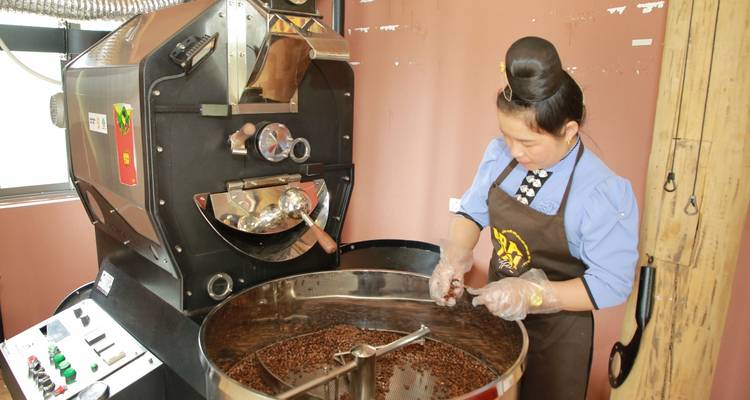 Woman in traditional hairstyle roasting coffee beans in an industrial coffee roaster