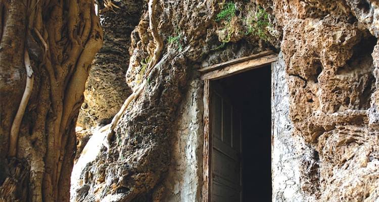 Dicht zicht op een verweerde ingang van een rotsgrot omringd door kronkelende boomwortels en mos in Taxila's archeologische zone.