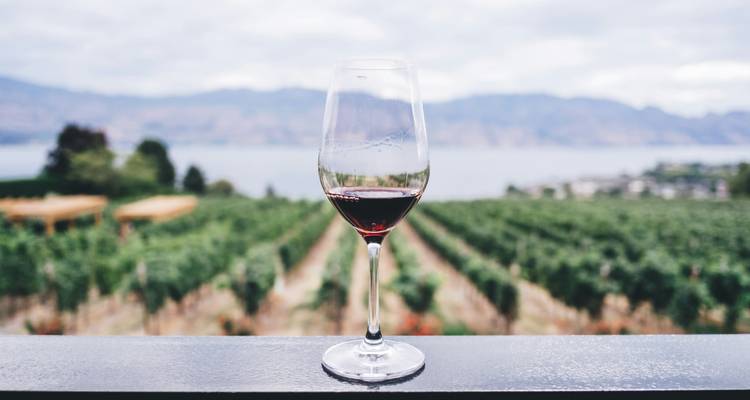 Un élégant verre de vin rouge mis en avant par des rangées de vignobles verdoyants et des montagnes lointaines près d'un lac.