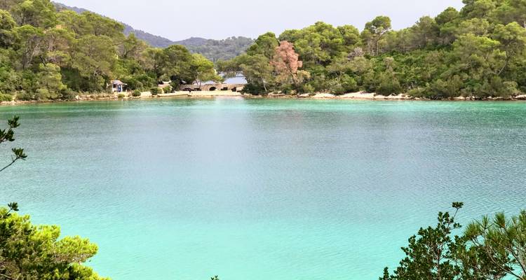 Lagon turquoise cristallin entouré de pins sur l'île de Mljet sous un ciel pâle.