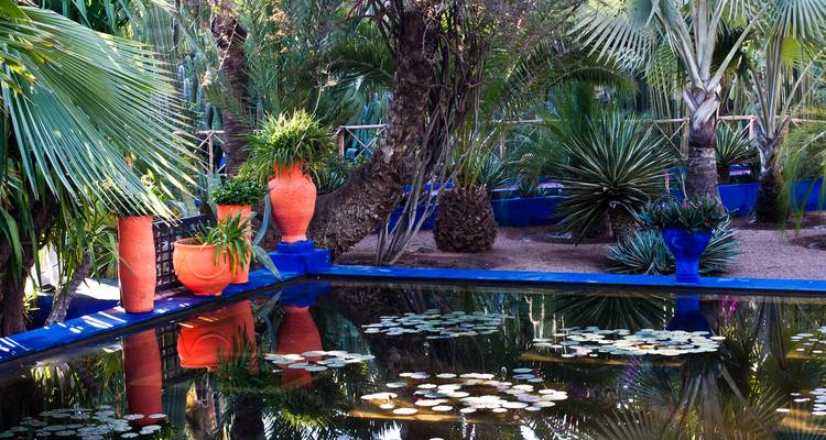 Las macetas coloridas y las palmeras exuberantes rodean un estanque de lirios reflectante en el Jardín de Majorelle de Marrakech.