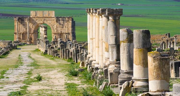 Fila de columnas de piedra alineadas en una antigua carretera romana que se extiende a través de campos verdes en Volubilis.