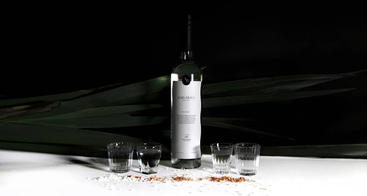 Studioaufnahme einer Mezcal-Flasche mit vier Gläsern vor dramatischem dunklem Hintergrund.