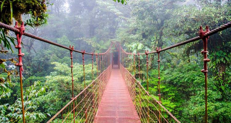Pont suspendu étroit de couleur rouge disparaissant dans la canopée dense de la jungle brumeuse.