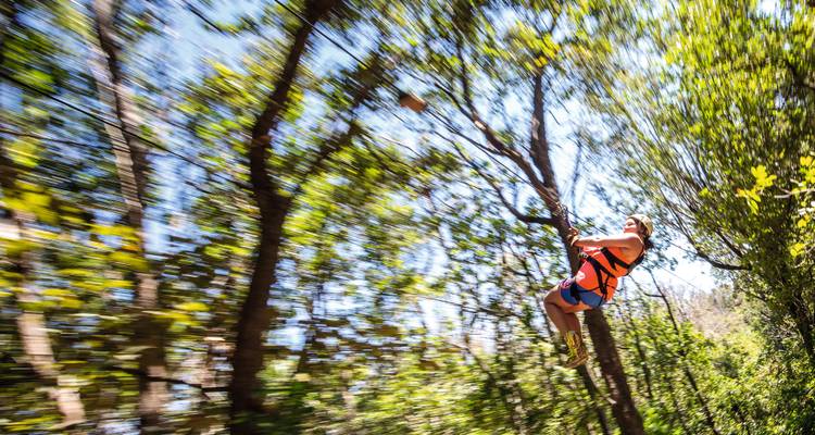 Motion-blur action shot of a person ziplining rapidly through sunlit forest.