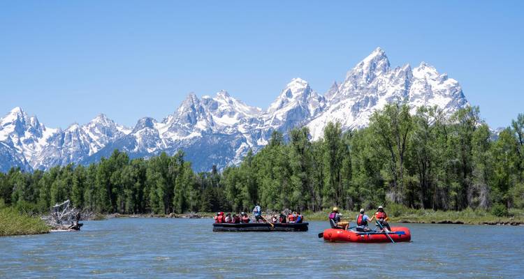 Les groupes de rafting descendent une rivière avec les pics enneigés de la Grande Teton qui se dressent au-delà d'une forêt dense.