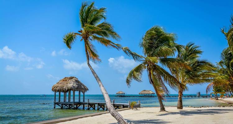 Plage tropicale avec des palmiers penchés, une jetée en bois et un palapa au toit de chaume face à la mer turquoise.