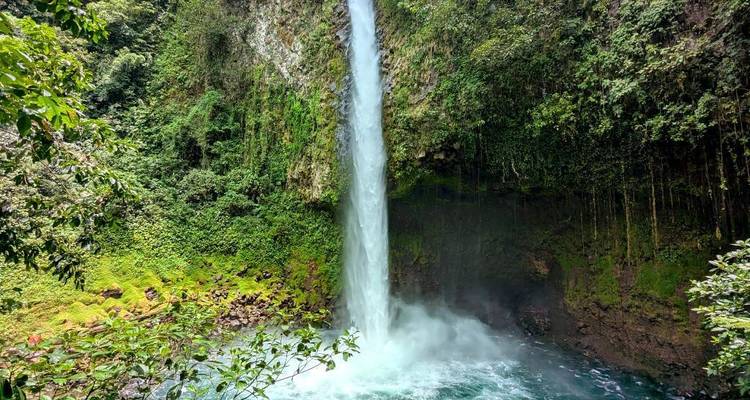Tall waterfall plunging into a turquoise pool surrounded by lush green jungle vegetation.