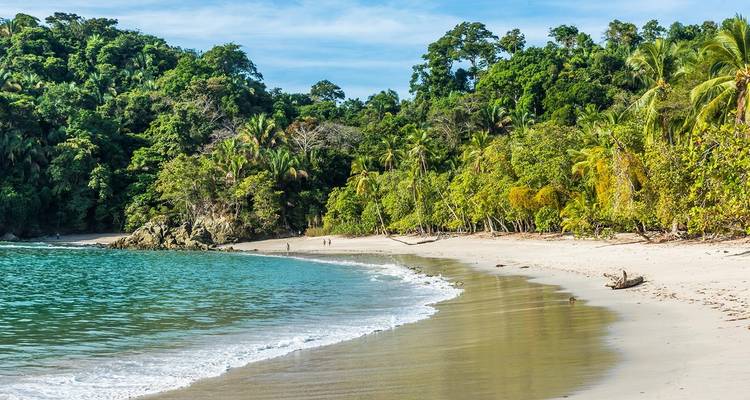 Tropical shoreline with emerald jungle framing a curved white-sand beach and calm turquoise water.