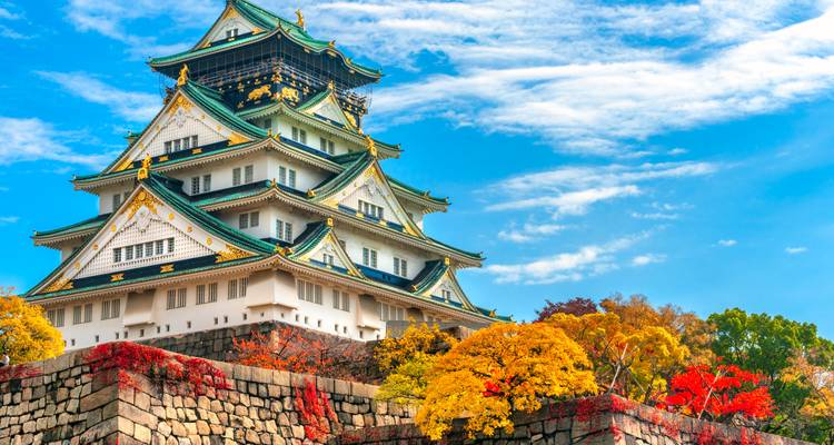 El Castillo de Osaka elevándose sobre muros de piedra con un colorido follaje otoñal bajo un cielo brillante.