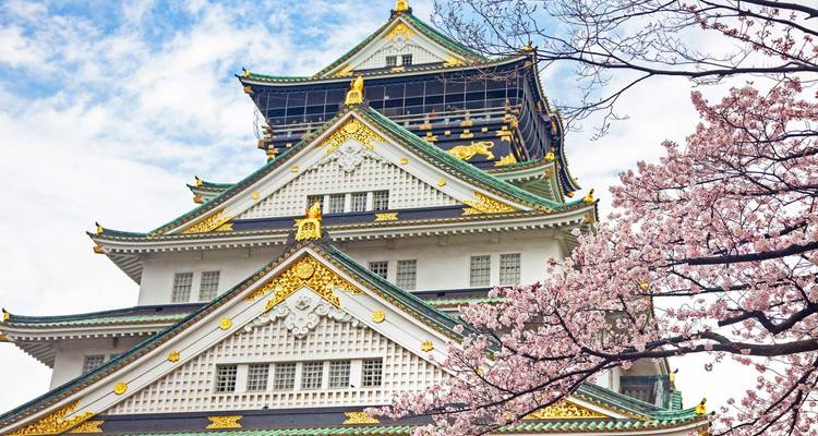 Los elegantes tejados y los gablete adornados con oro del Castillo de Osaka enmarcados por flores de cerezo rosa contra un cielo brillante.