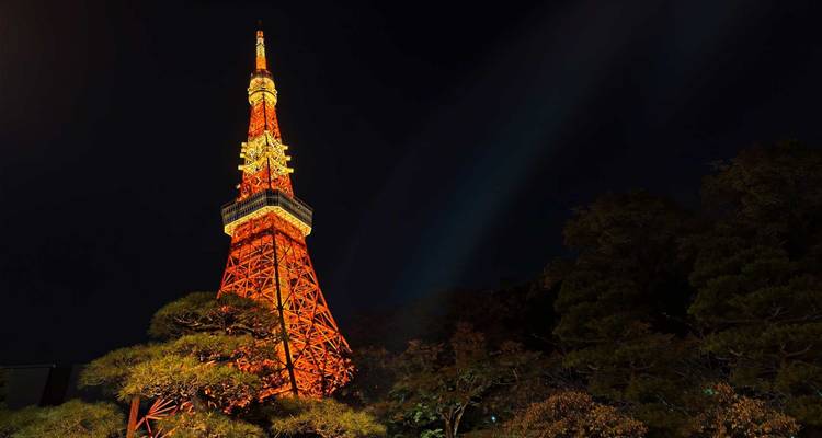 La Torre de Tokio iluminada en un vibrante naranja contra el cielo nocturno con árboles silueteados abajo.