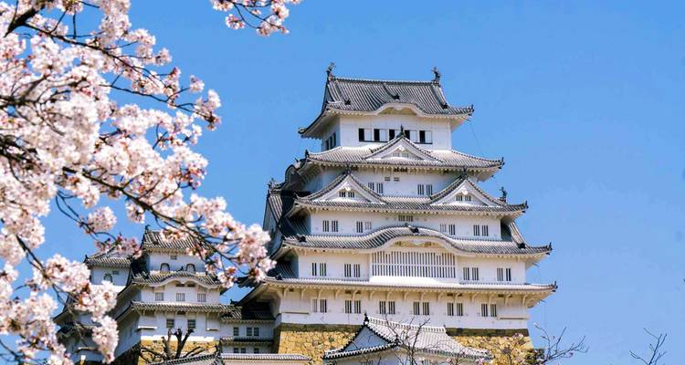 El elegante Castillo Blanco de Himeji enmarcado por las flores de cerezo primaverales contra un cielo azul despejado.