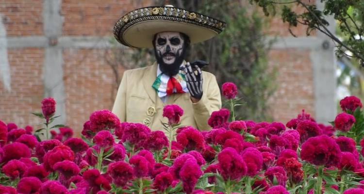 Hombre en traje de charro con maquillaje de calavera parado detrás de flores magenta brillantes durante Día de Muertos.