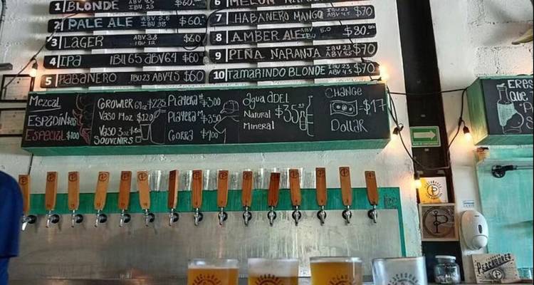 Innenraum einer Craft-Beer-Bar mit Tafelmenu, einer Reihe von Zapfhähnen und Verkostungsgläsern im Vordergrund.