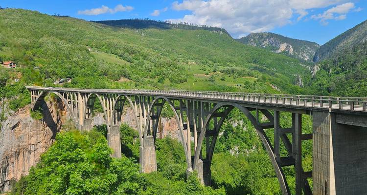Elegante Betonbogenbrücke, die eine tiefe bewaldete Schlucht im hellen Sonnenlicht überbrückt