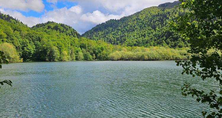 Ruhiger Waldsee, umgeben von üppig grünen Hügeln, die sich im gekräuselten Wasser spiegeln