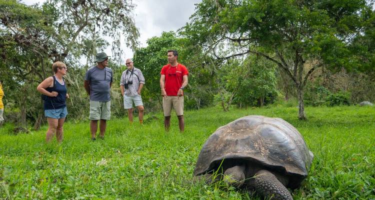 Une géante tortue des Galápagos broute au premier plan tandis qu'un guide s'adresse aux visiteurs sur une prairie luxuriante.