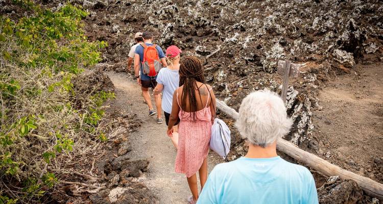 Les randonneurs suivent un sentier étroit à travers un terrain volcanique accidenté parsemé d'arbustes.