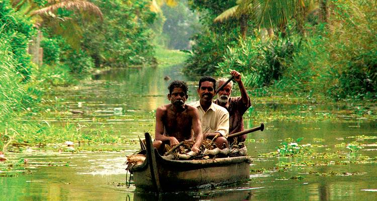 Drei Männer paddeln ein schmales Kanu durch üppige, grüne Kanäle der Backwaters von Kerala.