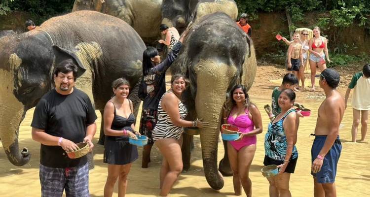 Des touristes se tenant dans l'eau boueuse, nettoyant et baignant des éléphants bienveillants dans un camp forestier.