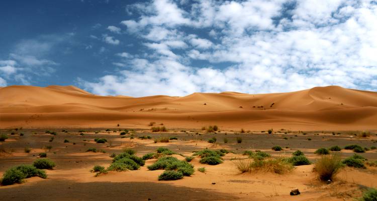Wide desert landscape of golden dunes under a vivid blue sky with scattered clouds.