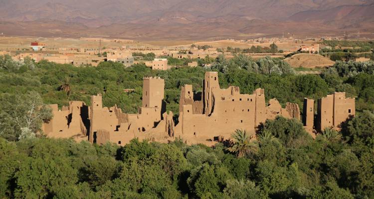 Earth-coloured kasbah ruins rise amid a dense green oasis with distant arid mountains.