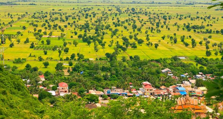 Expansive view over bright green rice fields dotted with palm trees and a small village.