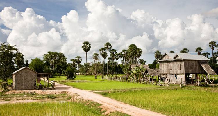 Traditional wooden stilt houses surrounded by green rice paddies and sugar palms under a cloud-filled sky.